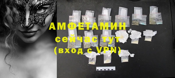 сатива Новозыбков