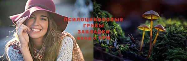 шишки Новокубанск