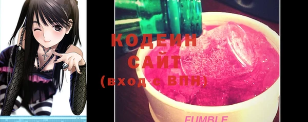 сатива Новозыбков