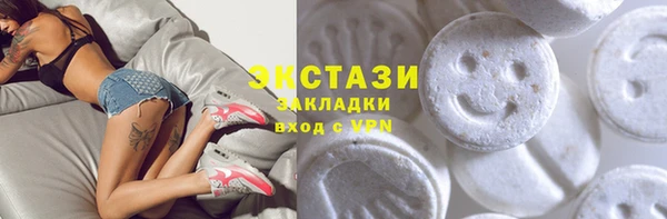 сатива Новозыбков