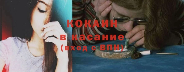СК Новодвинск