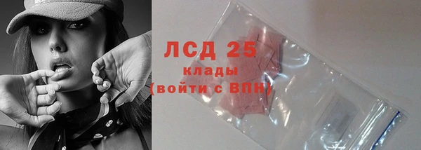 СК Новодвинск