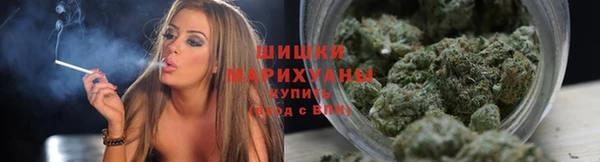 шишки Новокубанск