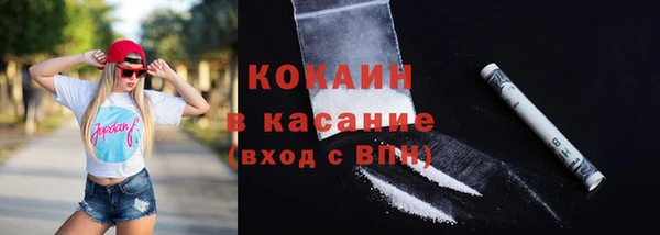 шишки Новокубанск