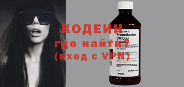 сатива Новозыбков