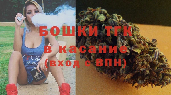 шишки Новокубанск