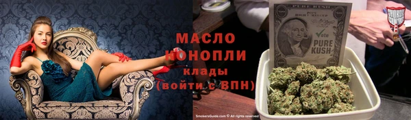 сатива Новозыбков