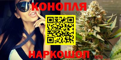 прущие крисы Донецк