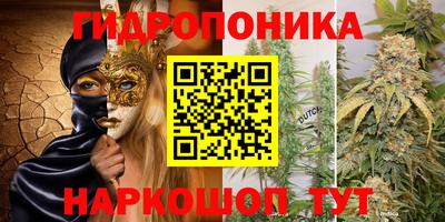 Альфа ПВП Балаково