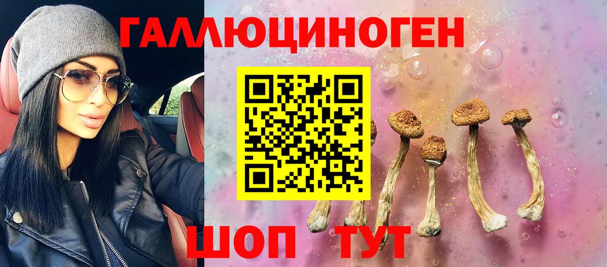 Псилоцибиновые грибы Cubensis Мыски