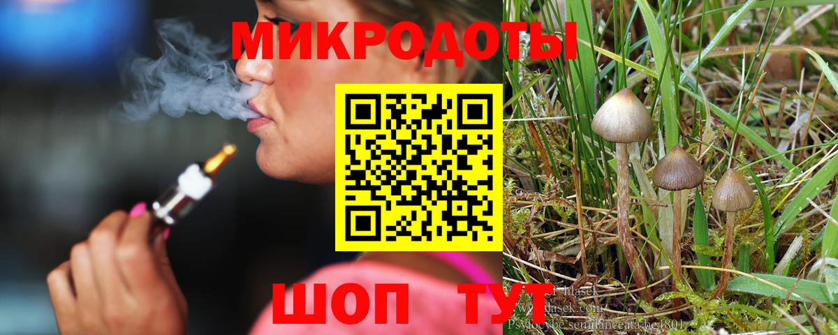 Псилоцибиновые грибы Мыски