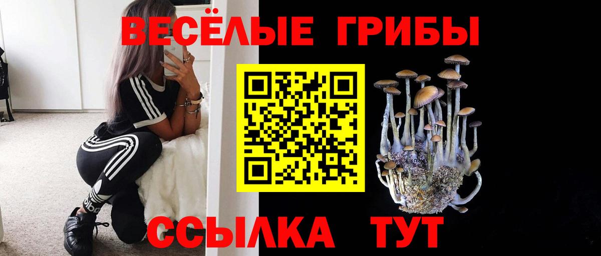 Галлюциногенные грибы прущие грибы  Мыски 