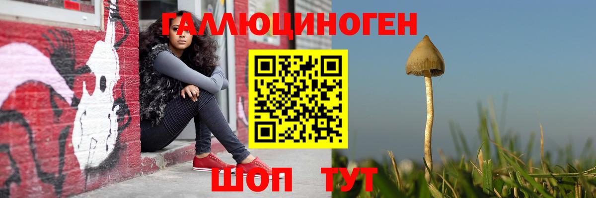 Псилоцибиновые грибы ЛСД  Вход с VPN  Мыски 